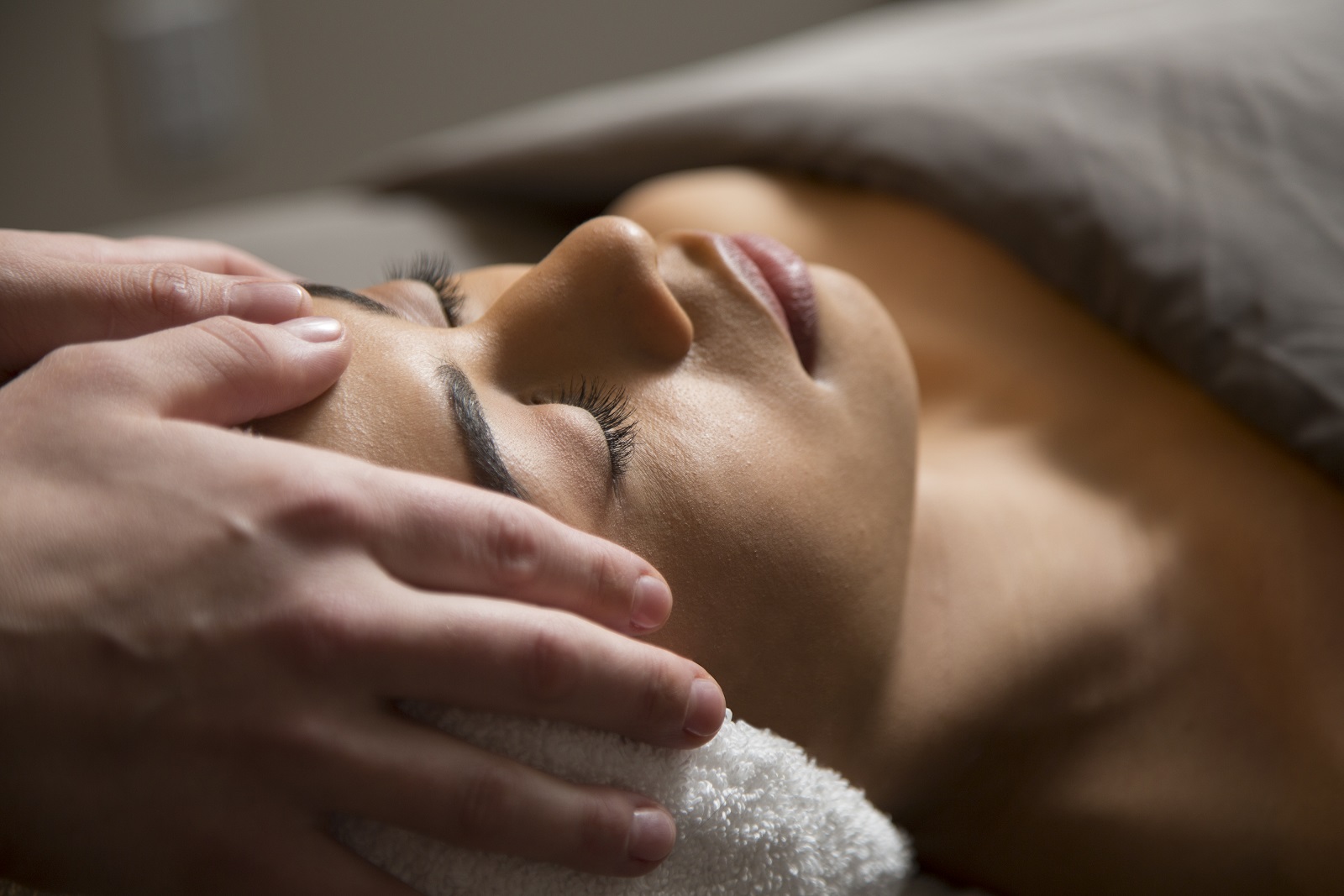 Willows Lodge Woodinville, WA Resort Official Site